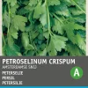 Intratuin Petersilie glatt (Petroselinum Crispum 'Einfach Schnitt') Samen| Kräutersamen|Saatgut