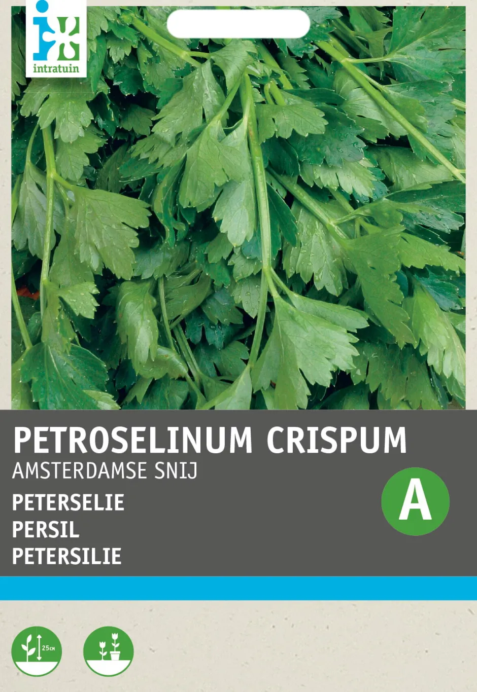Intratuin Petersilie glatt (Petroselinum Crispum 'Einfach Schnitt') Samen| Kräutersamen|Saatgut
