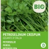 Intratuin Petersilie glatt (Petroselinum crispum 'Gigante d'Italia') (BIO) Samen| Kräutersamen|Saatgut