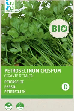 Intratuin Petersilie glatt (Petroselinum crispum 'Gigante d'Italia') (BIO) Samen| Kräutersamen|Saatgut
