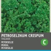 Intratuin Petersilie kraus dunkelgrün (Petroselinum Crispum 'Thujade') Samen| Kräutersamen|Saatgut