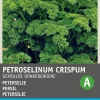Intratuin Petersilie kraus (Petroselinum crispum 'Krause') Samen| Kräutersamen|Saatgut