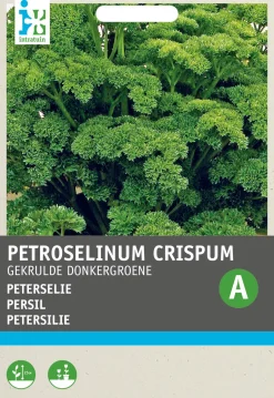 Intratuin Petersilie kraus (Petroselinum crispum 'Krause') Samen| Kräutersamen|Saatgut