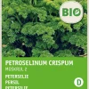 Intratuin Petersilie kraus (Petroselinum crispum 'Mooskrause 2') (BIO) Samen| Kräutersamen|Saatgut