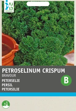 Intratuin Petersilie (Petroselinum crispum 'Bravour') Samen| Kräutersamen|Saatgut