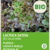 Intratuin Pflücksalat (Lactuca sativa 'Roter Eichenblatt') (BIO) Samen| Gemüsesamen|Saatgut