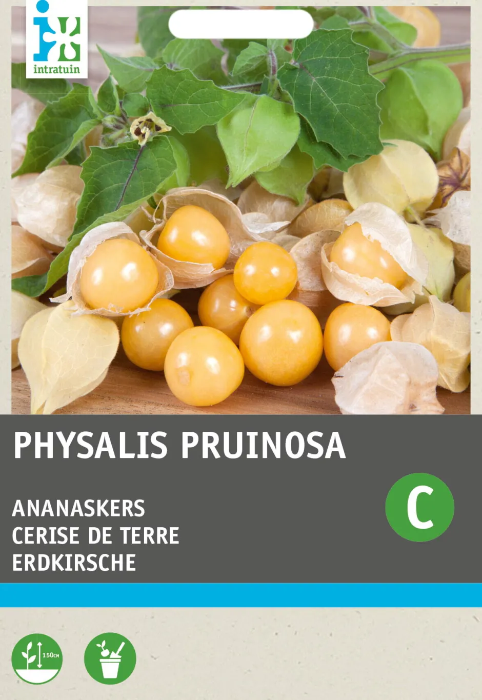 Intratuin Physalis / Erdkirsche (Physalis pruinosa) Samen| Gemüsesamen|Saatgut