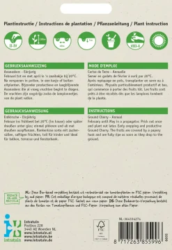 Intratuin Physalis / Erdkirsche (Physalis pruinosa) Samen| Gemüsesamen|Saatgut