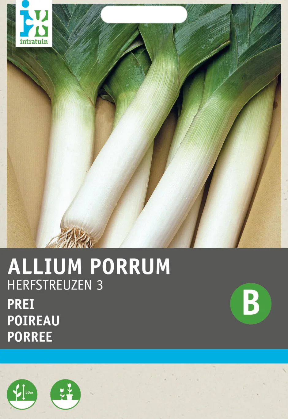 Intratuin Porree (Allium porrum 'Herbstriesen') Samen| Gemüsesamen|Saatgut