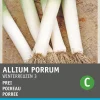 Intratuin Porree (Allium porrum 'Winterriesen') Samen| Gemüsesamen|Saatgut