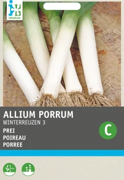 Intratuin Porree (Allium porrum 'Winterriesen') Samen| Gemüsesamen|Saatgut