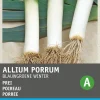 Intratuin Porree (Allium porrum 'Blaugrüner Winter') Samen| Gemüsesamen|Saatgut