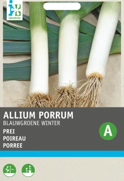 Intratuin Porree (Allium porrum 'Blaugrüner Winter') Samen| Gemüsesamen|Saatgut