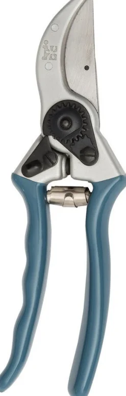 Intratuin Premium Gartenschere silber/blau| Gartenscheren|Schneiden & Stutzen