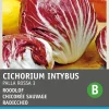 Intratuin Radicchio (Cichorium intybus 'Pallo Rossa di Chioggia') Samen| Gemüsesamen|Saatgut