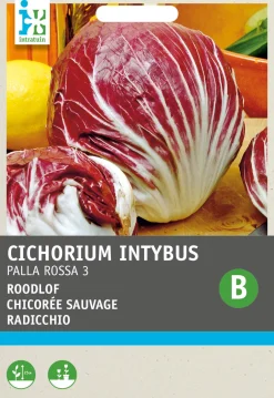 Intratuin Radicchio (Cichorium intybus 'Pallo Rossa di Chioggia') Samen| Gemüsesamen|Saatgut
