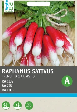 Intratuin Radies (Raphanus sativus 'French Breakfast') Samen| Gemüsesamen|Saatgut