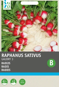 Intratuin Radieschen (Raphanus sativus 'Gaudry') Samen| Gemüsesamen|Saatgut