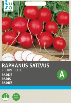 Intratuin Radieschen (Raphanus sativus 'Cherry Belle') Samen| Gemüsesamen|Saatgut