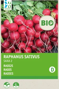Intratuin Radieschen (Raphanus sativus 'Saxa') (BIO) Samen| Gemüsesamen|Saatgut
