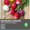 Intratuin Radieschen rund gemischt (Raphanus sativus) Samen| Gemüsesamen|Saatgut