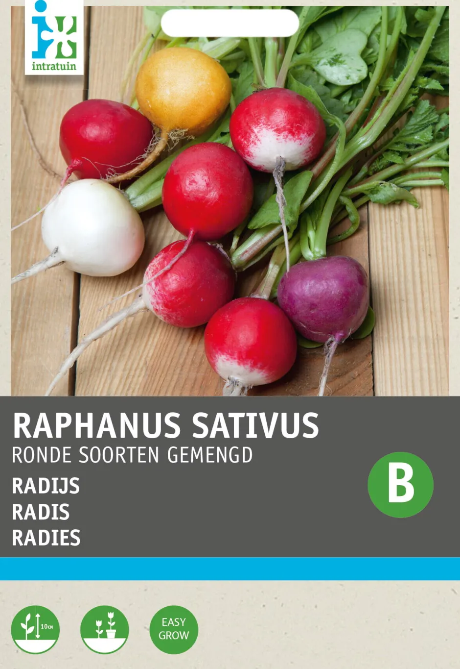 Intratuin Radieschen rund gemischt (Raphanus sativus) Samen| Gemüsesamen|Saatgut