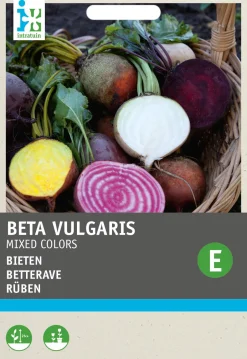Intratuin Rüben "4 Farbenmischung" (Beta vulgares) Samen| Gemüsesamen|Saatgut