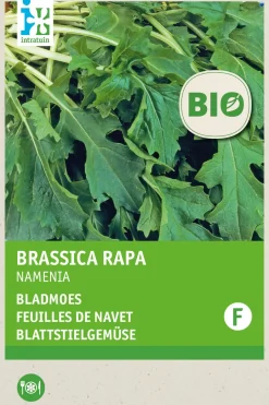 Intratuin Rübstiel (Brassica rapa 'Namenia') (BIO) Samen| Gemüsesamen|Saatgut