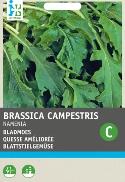 Intratuin Rübstiel (Brassica rapa 'Namenia') Samen| Gemüsesamen|Saatgut