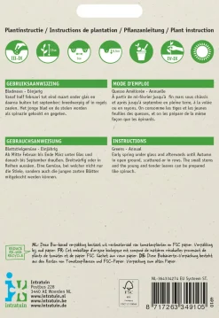 Intratuin Rübstiel (Brassica rapa 'Namenia') Samen| Gemüsesamen|Saatgut