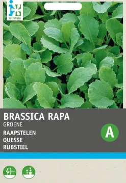 Intratuin Rübstiel grün (Brassica rapa 'Stielmus') Samen| Gemüsesamen|Saatgut