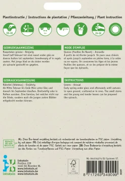 Intratuin Rübstiel grün (Brassica rapa 'Stielmus') Samen| Gemüsesamen|Saatgut