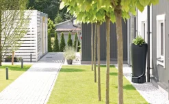 Intratuin Regentonne Tube 230 l anthrazit| Gießen & Bewässerung|Regentonnen