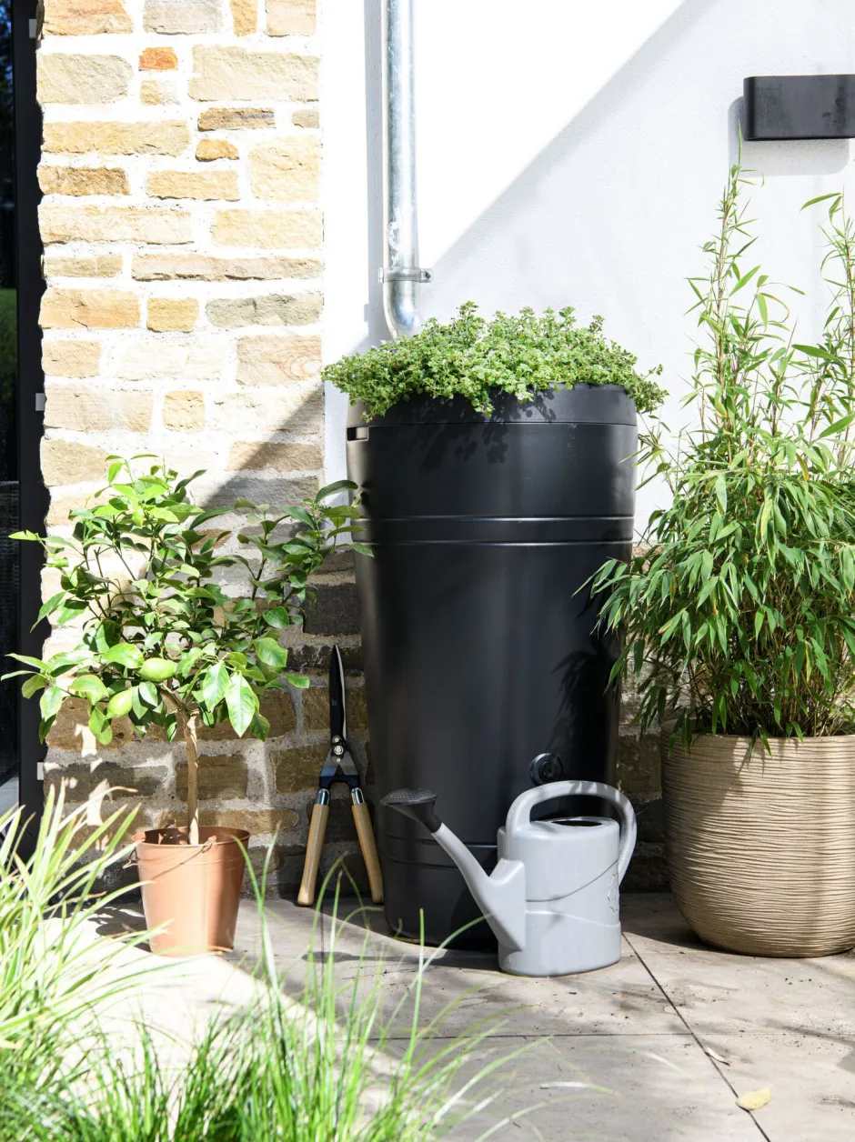Intratuin Regentonne Tube 230 l anthrazit| Gießen & Bewässerung|Regentonnen