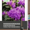 Intratuin Rhododendronerde 15 l| Pflanzerde & Substrat|Gartenerde