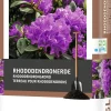 Intratuin Rhododendronerde 45 l| Pflanzerde & Substrat|Gartenerde