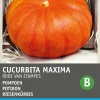 Intratuin Riesenkürbis (Cucurbita maxima 'Roter von Etampes') Samen| Gemüsesamen|Saatgut