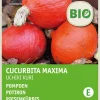 Intratuin Riesenkürbis (Cucurbita maxima 'Uchiki Kuri') (BIO) Samen| Gemüsesamen|Saatgut