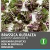 Intratuin Rosenkohl (Brassica oleracea 'Kalettes Garden Mix F1') Samen| Gemüsesamen|Saatgut