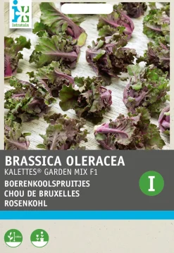 Intratuin Rosenkohl (Brassica oleracea 'Kalettes Garden Mix F1') Samen| Gemüsesamen|Saatgut