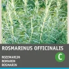 Intratuin Rosmarin (Rosmarinus officinalis) Samen| Kräutersamen|Saatgut