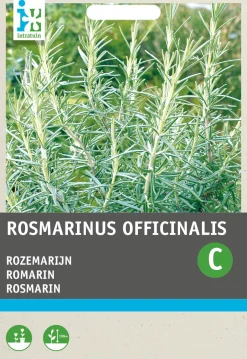 Intratuin Rosmarin (Rosmarinus officinalis) Samen| Kräutersamen|Saatgut