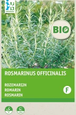 Intratuin Rosmarin (Rosmarinus officinalis) (BIO) Samen| Kräutersamen|Saatgut