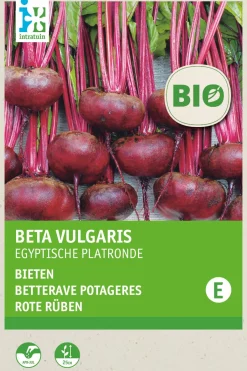 Intratuin Rote Bete (Beta vulgaris 'Ägyptische Plattrunde') (BIO) Samen| Gemüsesamen|Saatgut