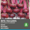 Intratuin Rote Bete (Beta vulgaris 'Ägyptische Plattrunde') Samen| Gemüsesamen|Saatgut