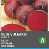 Intratuin Rote Bete (Beta vulgaris 'Rote Kugel 2') Samen| Gemüsesamen|Saatgut