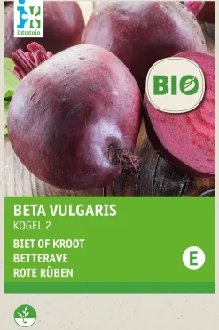 Intratuin Rote Bete (Beta vulgaris 'Detroit 2') (BIO) Samen| Gemüsesamen|Saatgut