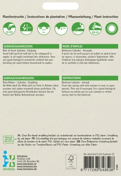 Intratuin Rote Bete lang (Beta vulgaris 'Cylindra') Samen| Gemüsesamen|Saatgut