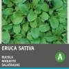 Intratuin Rucola (Eruca sativa 'Coltivata') Samen| Gemüsesamen|Saatgut