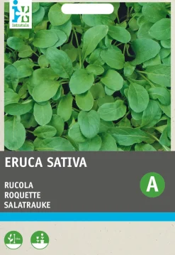 Intratuin Rucola (Eruca sativa 'Coltivata') Samen| Gemüsesamen|Saatgut